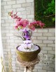 Zimmerbrunnen mit Orchideenblüten
