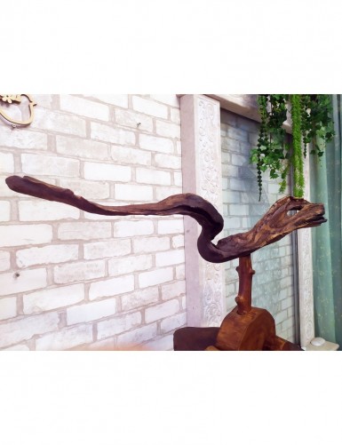 Drewniana rzeźba „Smok” do wnętrza sklepu zoologicznego