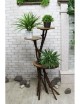 Drewniany stojak DP-3 na kwiaty i rośliny
