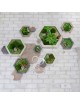 Wanddekoration aus Naturholz „Hexagons“ für ein Café-Interieur