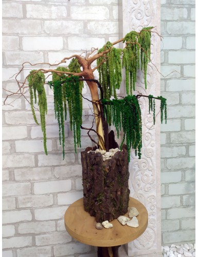Stabilisierter Amaranth-Bonsaibaum für das Büro