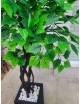 Dekoracyjne drzewo z zielonymi liśćmi do wystroju wnętrz kawiarni