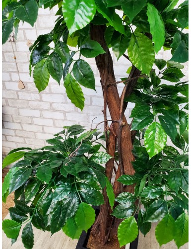 Sztuczne bonsai z zielonymi liśćmi