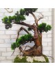 Künstlicher Bonsai